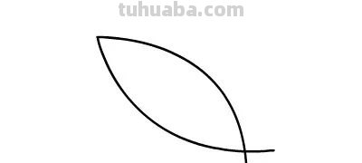 每天学一幅简笔画-简笔画动画教程之小鱼儿的绘画分解步骤