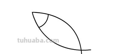 每天学一幅简笔画-简笔画动画教程之小鱼儿的绘画分解步骤