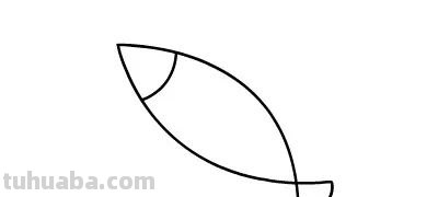 每天学一幅简笔画-简笔画动画教程之小鱼儿的绘画分解步骤