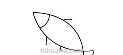 每天学一幅简笔画-简笔画动画教程之小鱼儿的绘画分解步骤