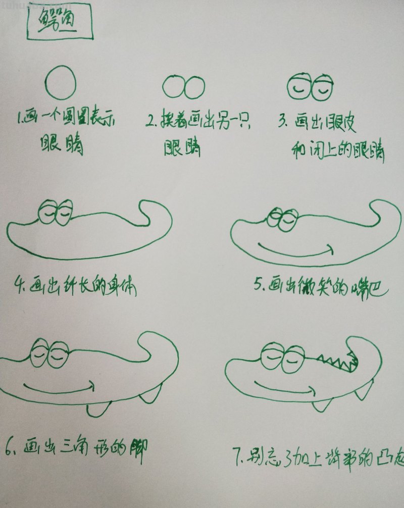 学会画各种鱼的简笔画