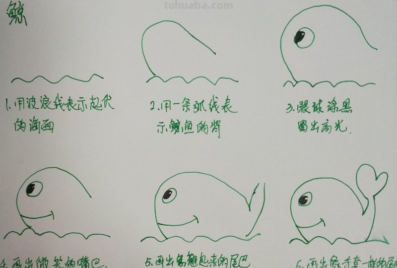 学会画各种鱼的简笔画