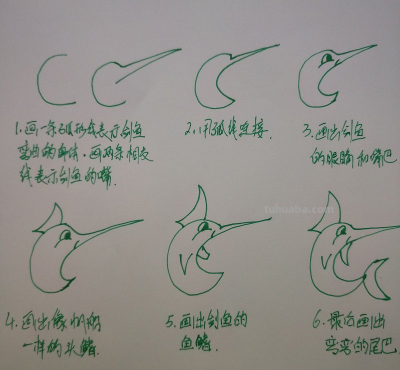 学会画各种鱼的简笔画