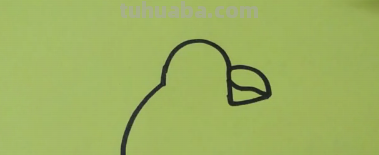 简笔画教程-手把手教你画小鸟简笔画