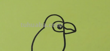 简笔画教程-手把手教你画小鸟简笔画