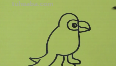 简笔画教程-手把手教你画小鸟简笔画