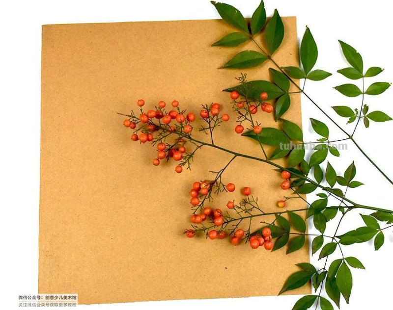 儿童画教程｜亲近自然，创意画枝头上的小鸟