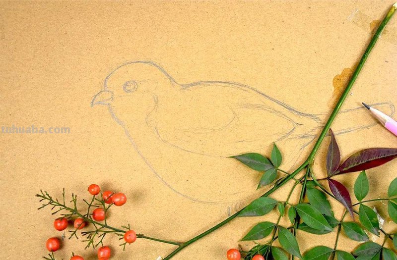 儿童画教程｜亲近自然，创意画枝头上的小鸟