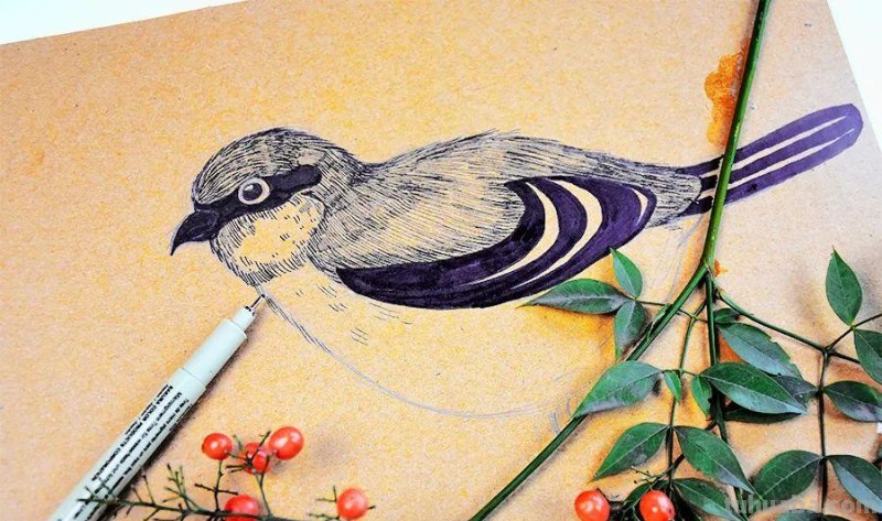 儿童画教程｜亲近自然，创意画枝头上的小鸟