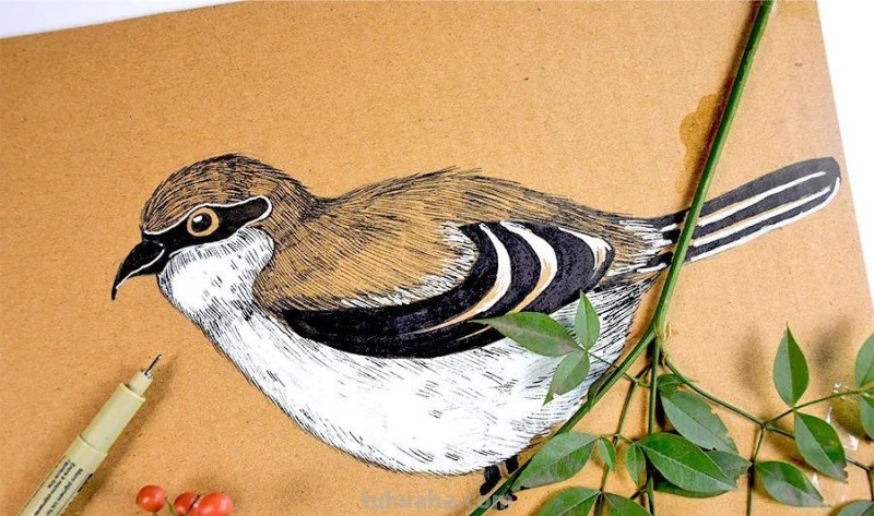 儿童画教程｜亲近自然，创意画枝头上的小鸟