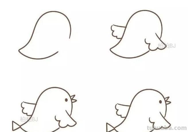 动物简笔画：小鸟怎么画？九种画法教程快教小朋友画吧！