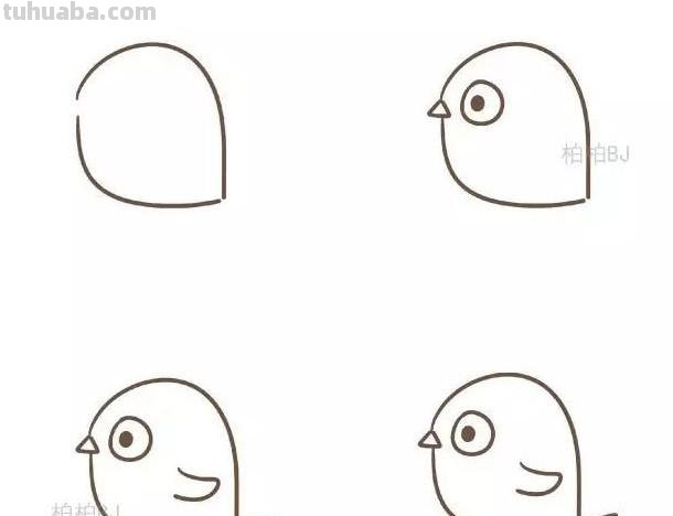 动物简笔画：小鸟怎么画？九种画法教程快教小朋友画吧！
