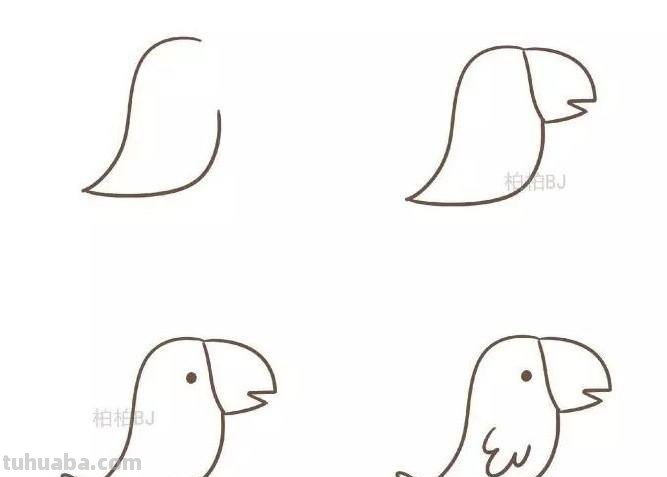 动物简笔画：小鸟怎么画？九种画法教程快教小朋友画吧！