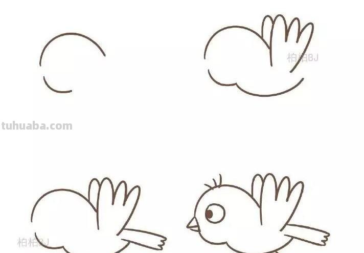 动物简笔画：小鸟怎么画？九种画法教程快教小朋友画吧！