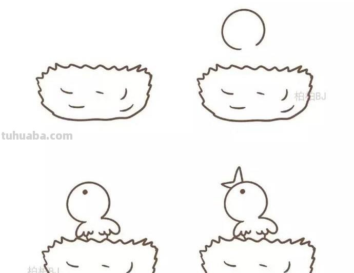 动物简笔画：小鸟怎么画？九种画法教程快教小朋友画吧！
