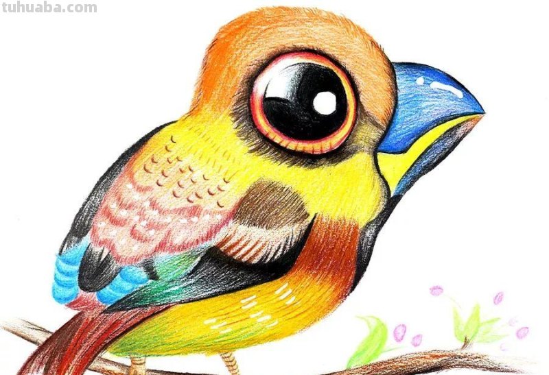 创意儿童画教程｜彩铅与线描画可爱的小鸟