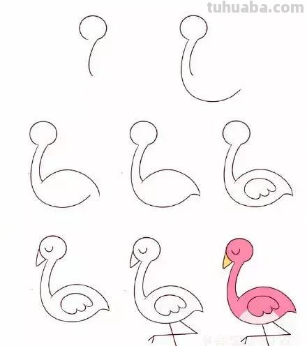 简笔画 - 一组孩子都爱画的，萌萌哒小鸟简笔画，建议收藏学习！