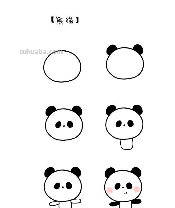 超级详细的小动物简笔画教程，新人看这个轻松就能学会了！