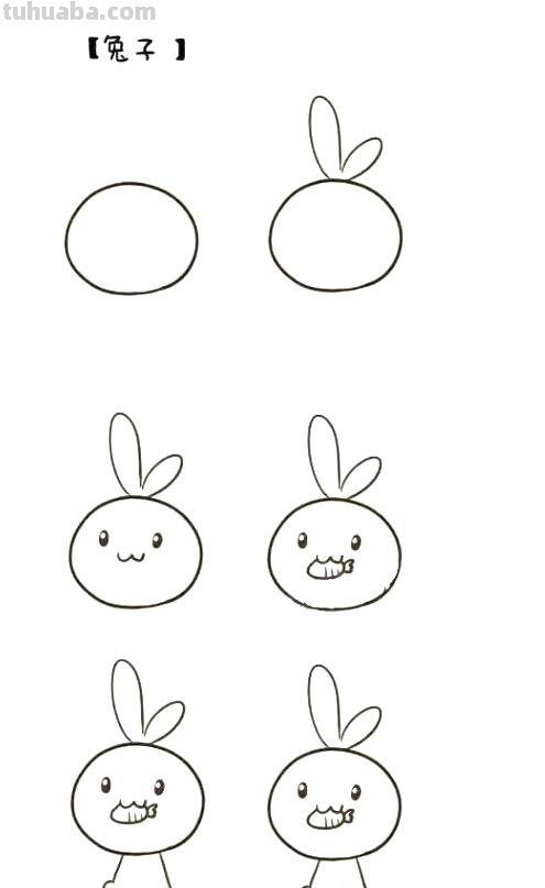 超级详细的小动物简笔画教程，新人看这个轻松就能学会了！