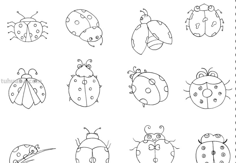 干货！各种小动物的60种简笔画画法，学会画画必备素材