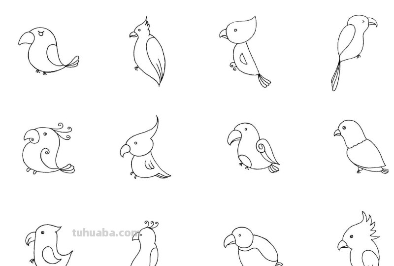 干货！各种小动物的60种简笔画画法，学会画画必备素材