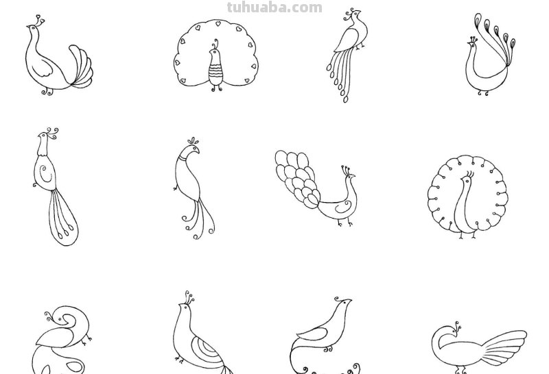 干货！各种小动物的60种简笔画画法，学会画画必备素材