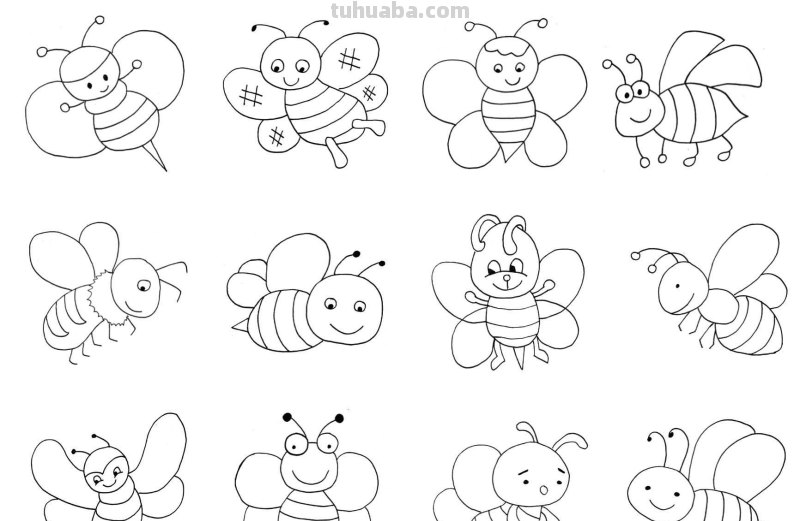 干货！各种小动物的60种简笔画画法，学会画画必备素材