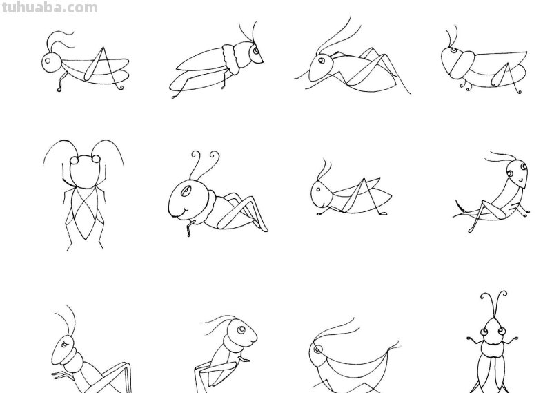 干货！各种小动物的60种简笔画画法，学会画画必备素材