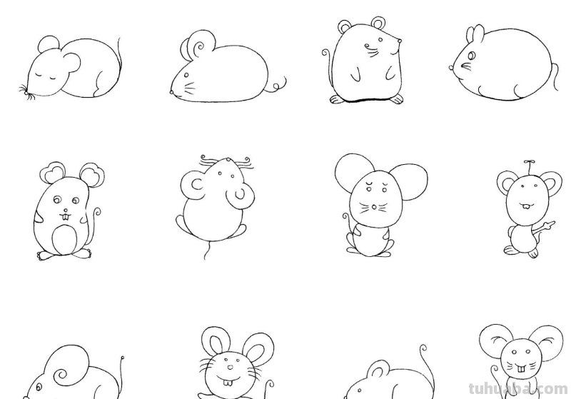 干货！各种小动物的60种简笔画画法，学会画画必备素材