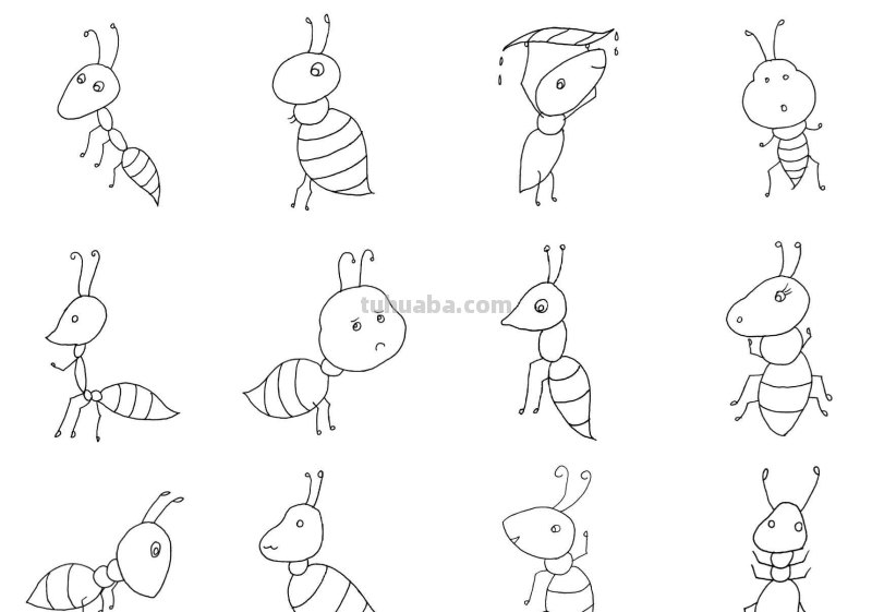 干货！各种小动物的60种简笔画画法，学会画画必备素材