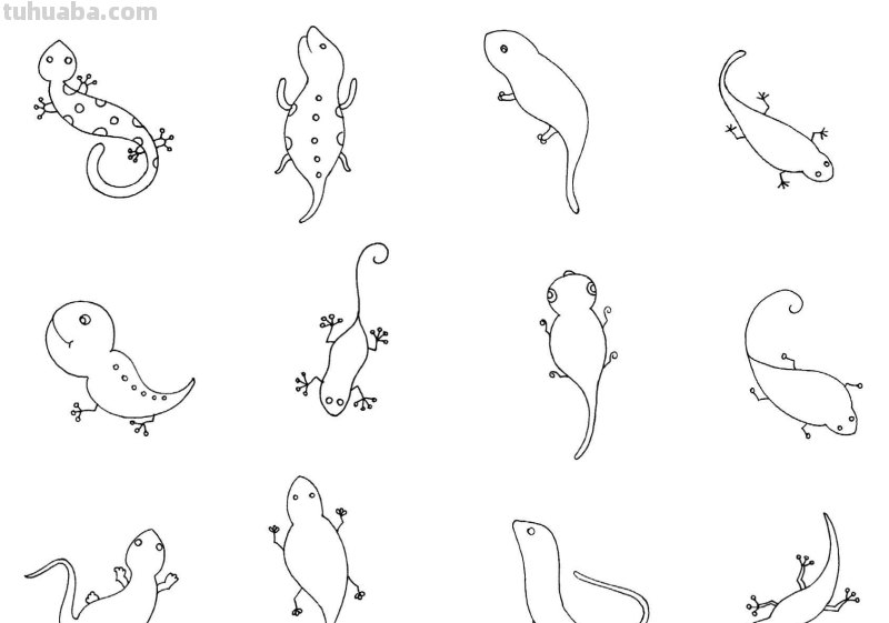 干货！各种小动物的60种简笔画画法，学会画画必备素材