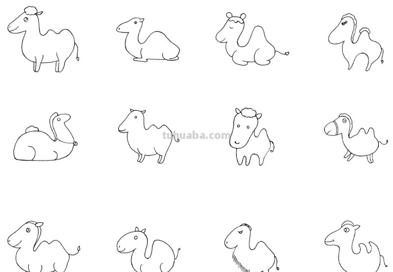 干货！各种小动物的60种简笔画画法，学会画画必备素材