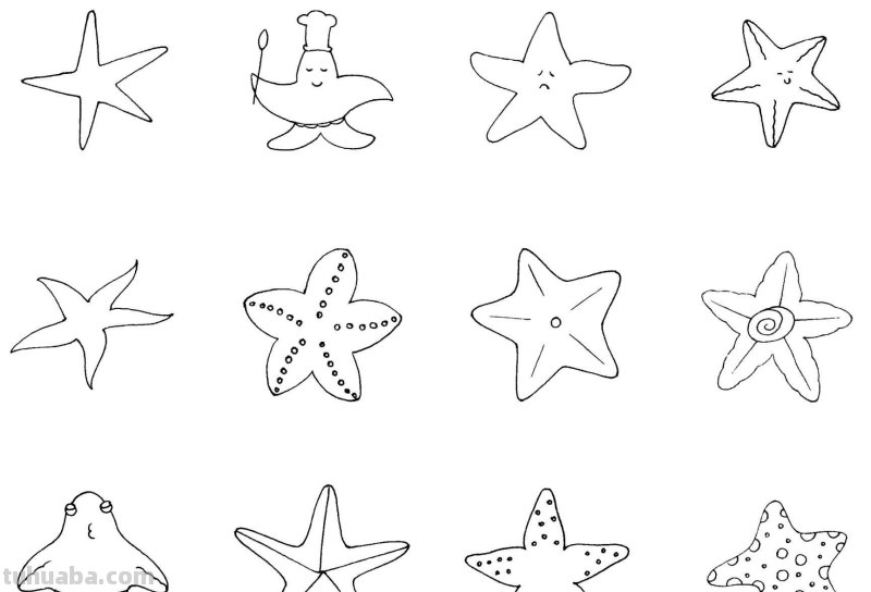 干货！各种小动物的60种简笔画画法，学会画画必备素材