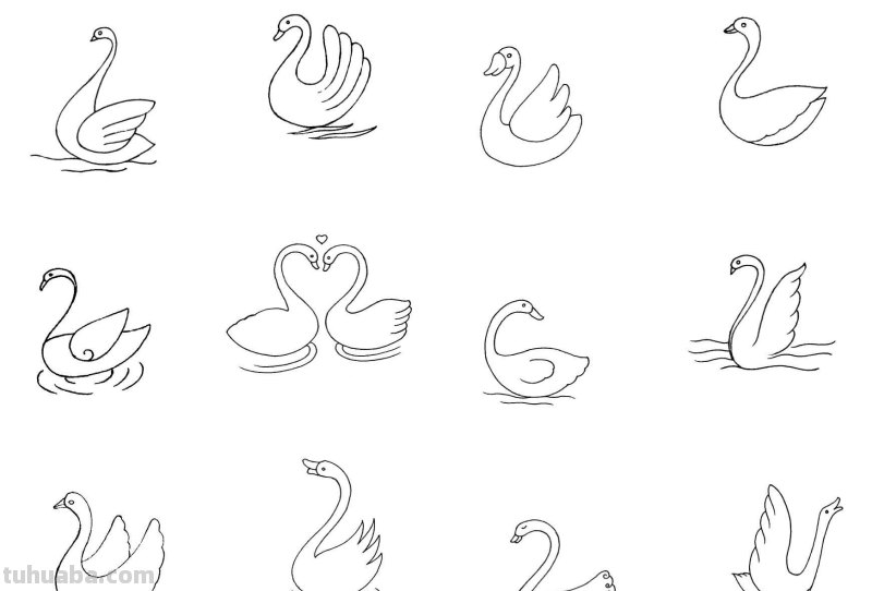 干货！各种小动物的60种简笔画画法，学会画画必备素材