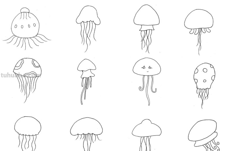 干货！各种小动物的60种简笔画画法，学会画画必备素材