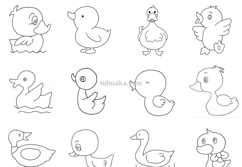 干货！各种小动物的60种简笔画画法，学会画画必备素材