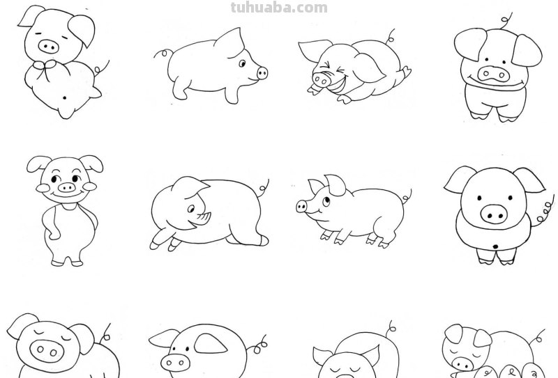 干货！各种小动物的60种简笔画画法，学会画画必备素材