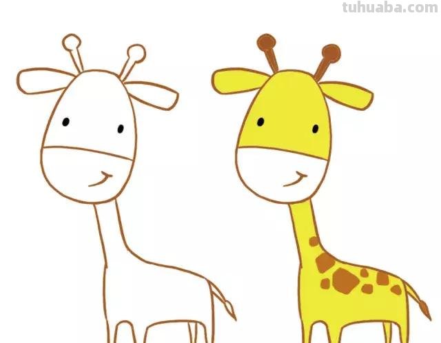 简笔画︱5分钟画出超萌小动物