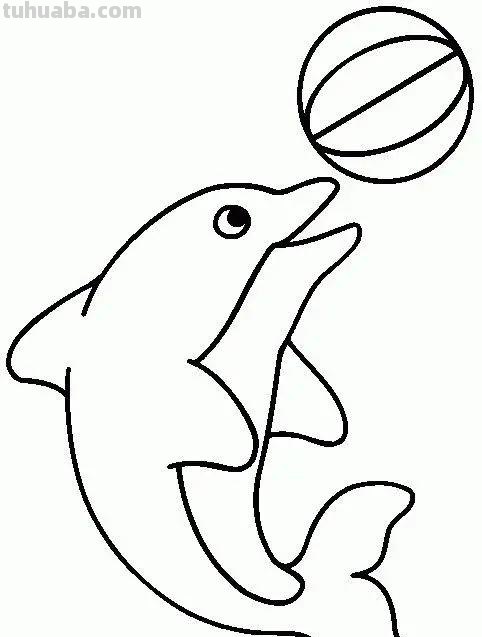 海洋动物简笔画教程，分分钟就能学的会