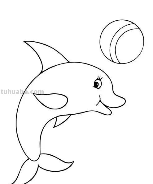 海洋动物简笔画教程，分分钟就能学的会