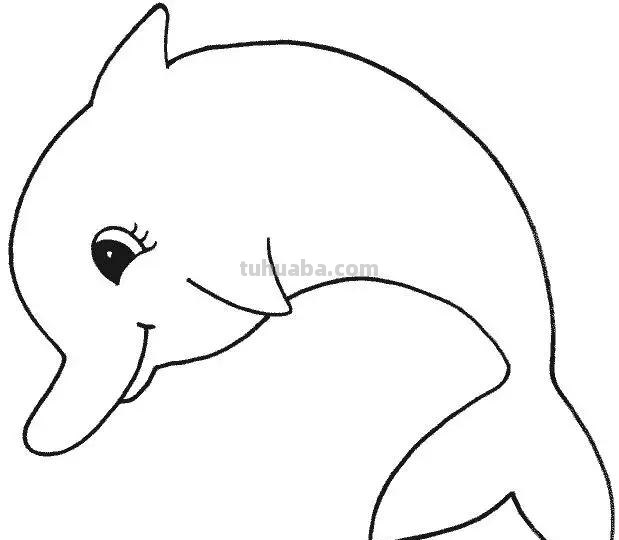 海洋动物简笔画教程，分分钟就能学的会