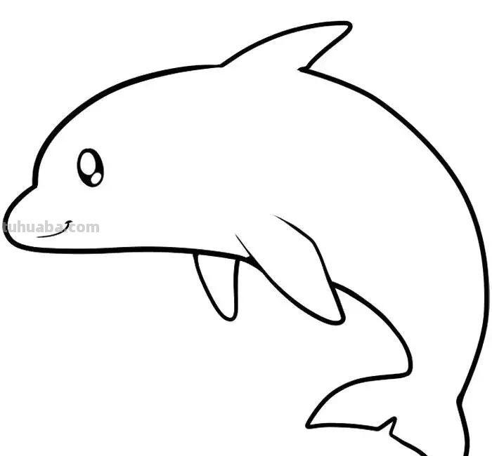 海洋动物简笔画教程，分分钟就能学的会