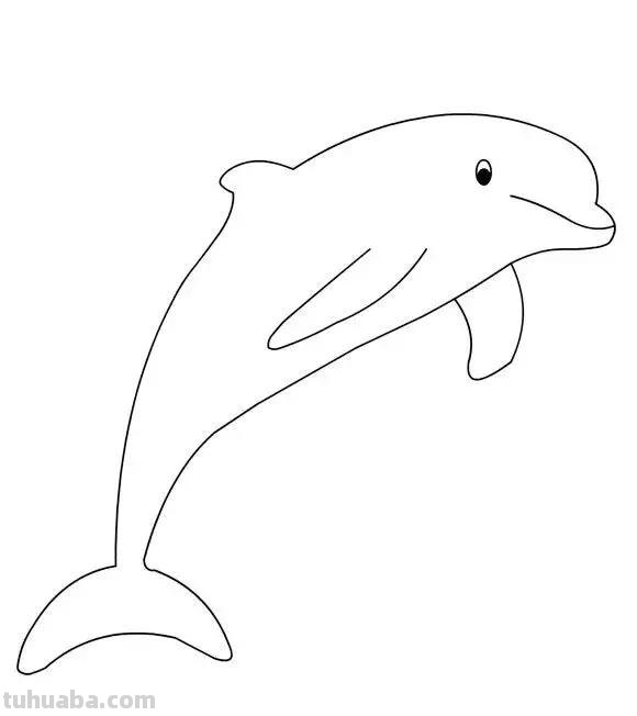 海洋动物简笔画教程，分分钟就能学的会