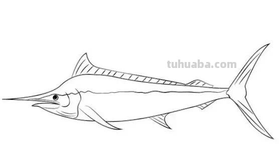 海洋动物简笔画教程，分分钟就能学的会