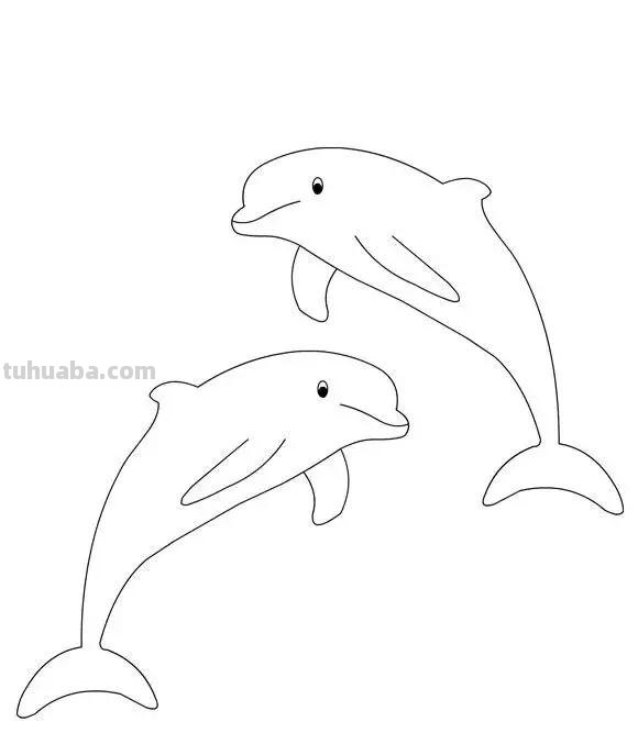 海洋动物简笔画教程，分分钟就能学的会