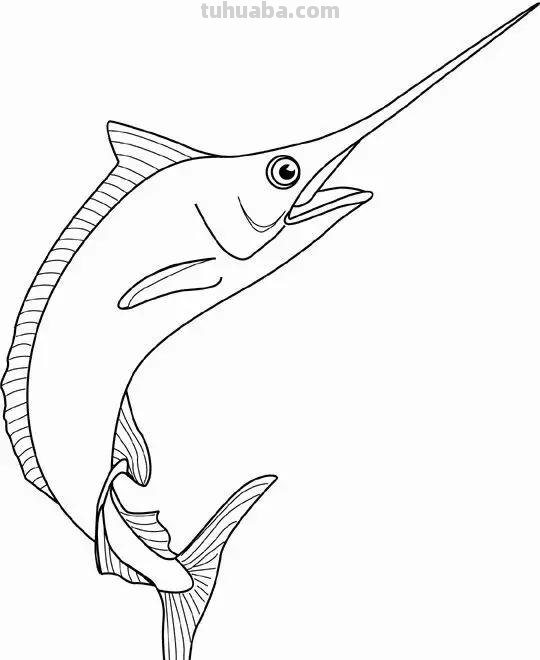 海洋动物简笔画教程，分分钟就能学的会