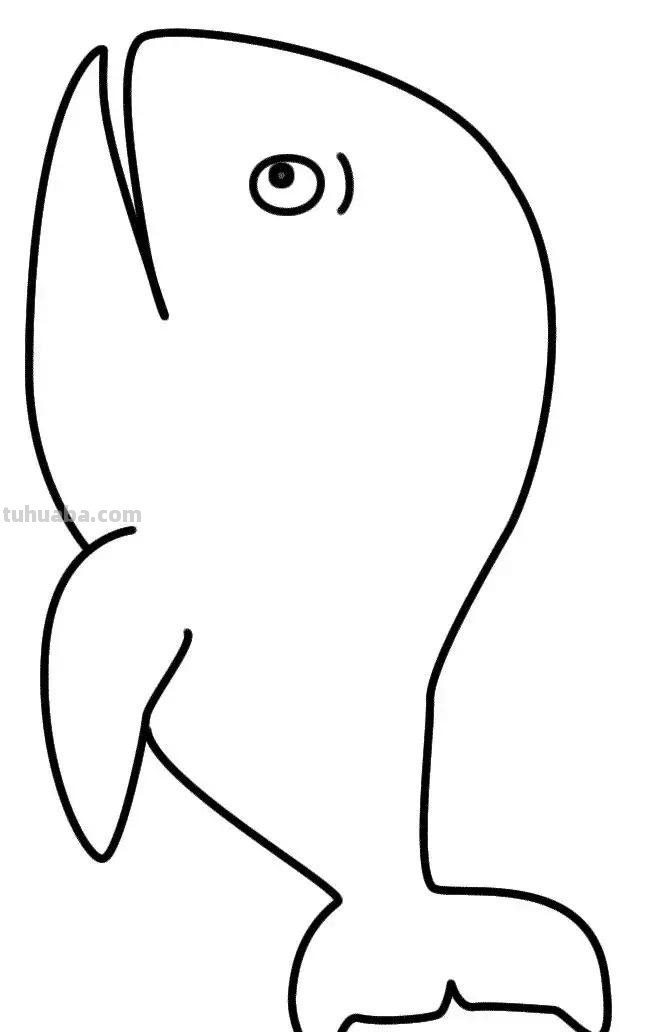 海洋动物简笔画高清线稿，终于会画鲸鱼，鲨鱼，海豚了