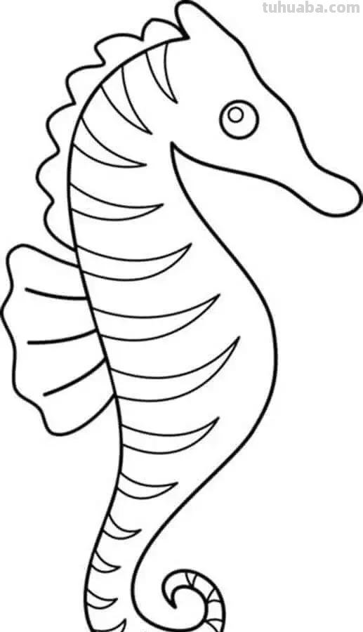 海洋动物简笔画高清线稿，终于会画鲸鱼，鲨鱼，海豚了