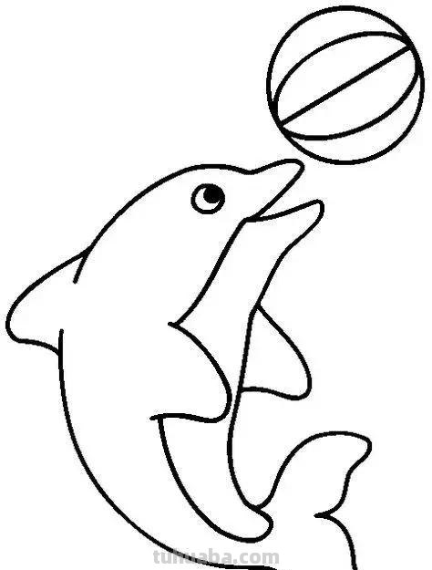 海洋动物简笔画高清线稿，终于会画鲸鱼，鲨鱼，海豚了