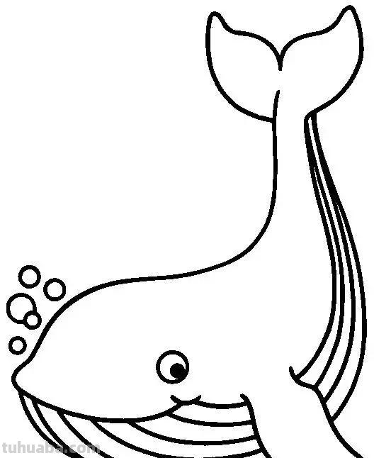 海洋动物简笔画高清线稿，终于会画鲸鱼，鲨鱼，海豚了